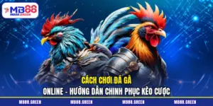 cách chơi đá gà online