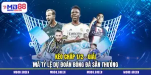 kèo chấp 1/2